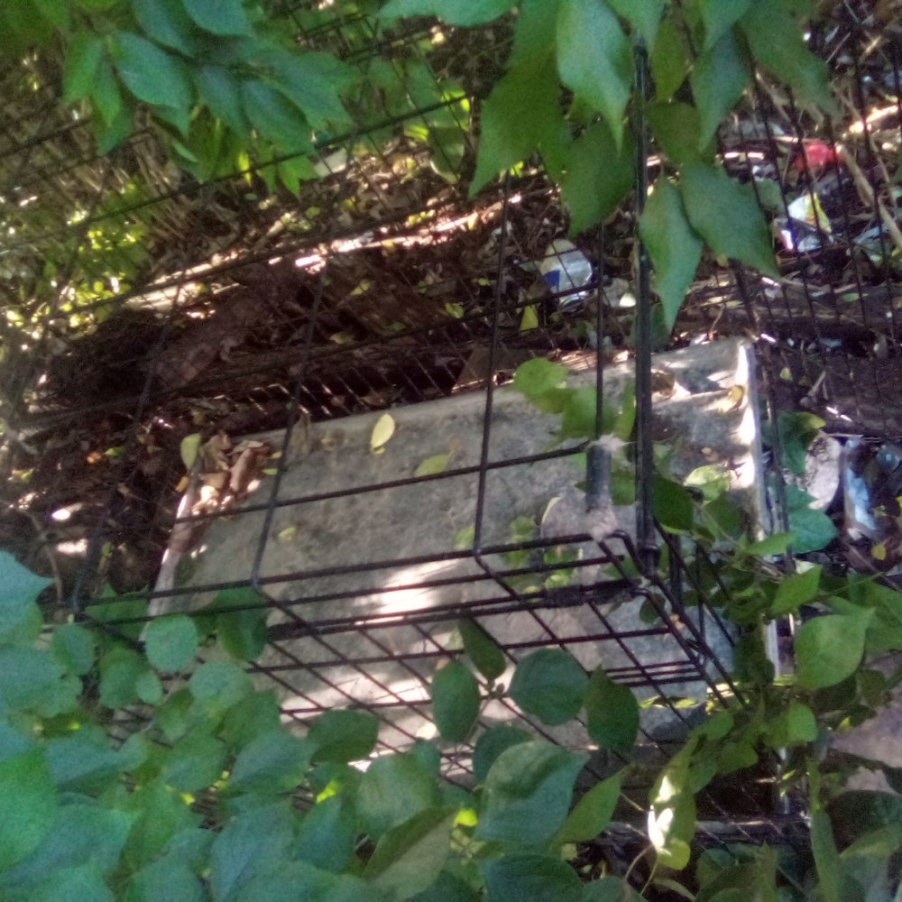 Puppy crate - Picture 3 of 3